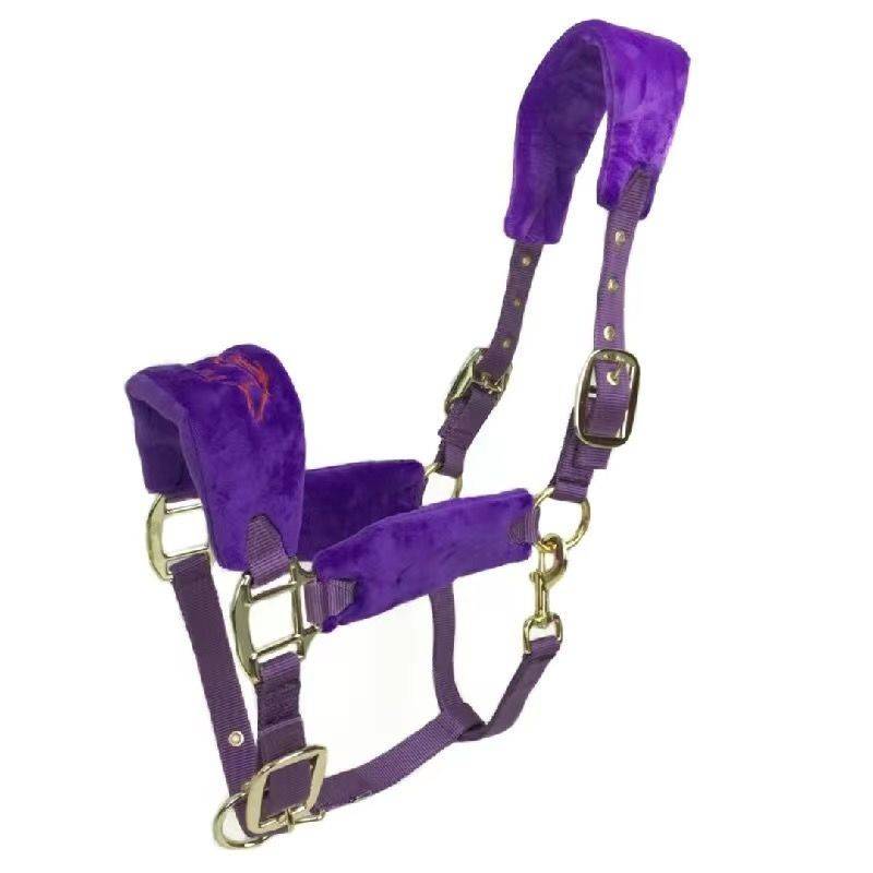 PURPLE S SHOULDER HEIGHT BELOW 1 METRE